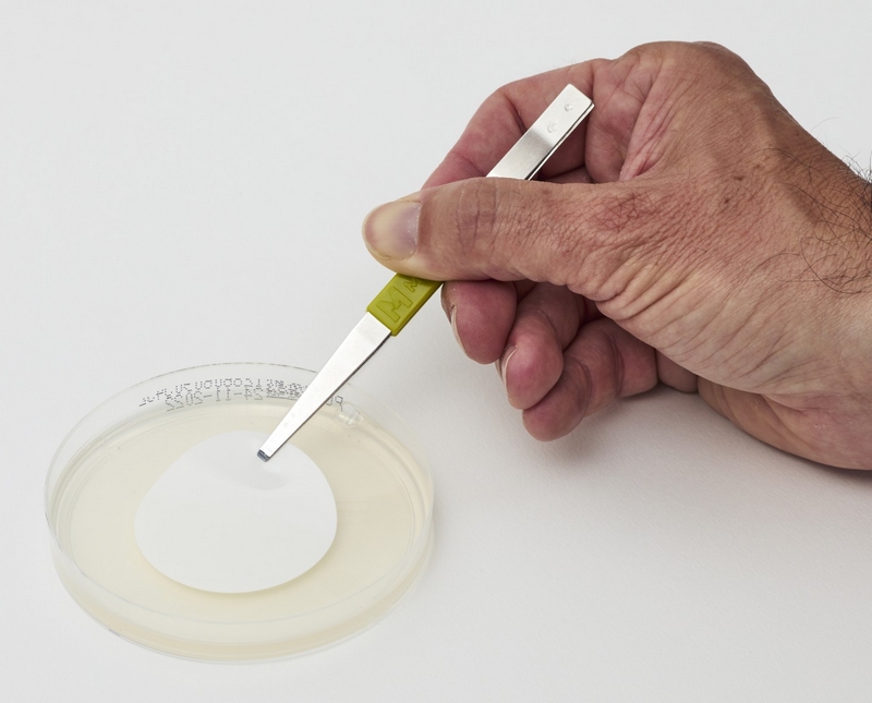 MICA Advance Coliformi - Membrana su CCA Agar Plate